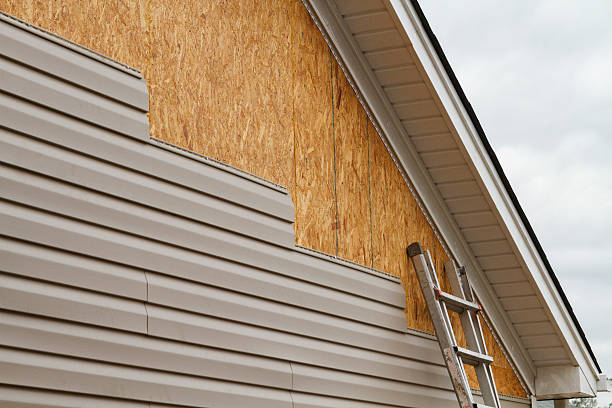 Professional Wood Siding technician working in Richmond, MN